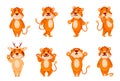 Collection of cartoon Chinese red striped tigers in different poses