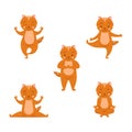 Collection cartoon funny ginger cat practicing yoga position