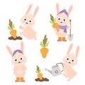 Collection cartoon funny rabbits and carrots. Cute bunny farmer waters carrots from watering can in garden bed, harvests