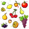 Collection of cartoon juicy fruits and berry. Vector illustration. Set of colorful fruit and berry icons. Isolated on white Royalty Free Stock Photo