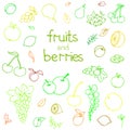 Collection of cartoon juicy fruits and berry. Vector illustration. Set of colorful fruit and berry icons. Isolated on white Royalty Free Stock Photo