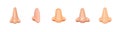 Collection of cartoon noses in various shapes and sizes for artistic and educational usage Royalty Free Stock Photo