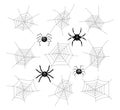 Collection of cartoon spiders and webs. vector