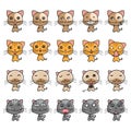 collection of cat expressions. Vector illustration decorative design Royalty Free Stock Photo