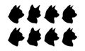 Collection of cat head silhouettes in black on a white background showcasing various breeds and profiles for design elements and Royalty Free Stock Photo