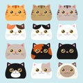 Collection of cat heads with different colors. Cats with different color patterns