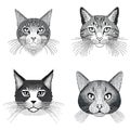 Collection of cat portraits halftone dot texture on transparent background. Royalty Free Stock Photo