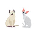Collection Cats of Different Breeds. White cats illustration