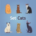 Collection of Cats and Dogs of Different Breeds. Vector Illustration Set. eps 10 Royalty Free Stock Photo