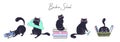 Collection of cats with school items in flat style. The concept of animals returning to school