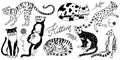 Collection of cats. Washing, playing and sleeping animals. Cute funny Domestic kitty. Hand drawn engraved sketch for