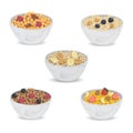 Collection of cereal porridge in bowl with fruits and nuts. Healthy breakfast.