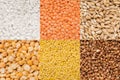 Collection of cereals and legumes