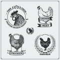 Collection of Chicken meat labels, badges, emblems and design elements.