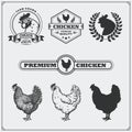 Collection of Chicken meat labels, badges, emblems and design elements.
