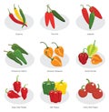 Collection of chili pepper