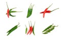 Collection chili peppers Royalty Free Stock Photo