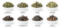 Collection of Chinese oolong tea, loose dries leaves in bowls isolated on white