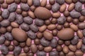 chocolate Easter eggs over pink, holiday background