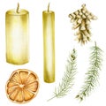 Collection of Christmas items candles, spruce branches, fir cone, dried orange
