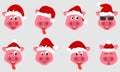 Collection Christmas Pigs with Santa Hats. Symbol 2019 New Year