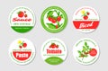 Collection circled organic tomato sticker labels vector illustration. Farm vegetables sauce badge Royalty Free Stock Photo