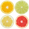 Collection of citrus fruits orange lemon slices sliced square is Royalty Free Stock Photo