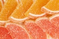 Collection of citrus marmalade Royalty Free Stock Photo