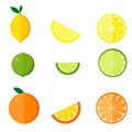 Collection of citrus products - orange, lemon, lime isolated on white background. Vector set of whole fruits and slices Royalty Free Stock Photo