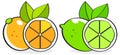 Collection Of Citrus Slices - Icons Set, Colorful Isolated On White Background, Vector Royalty Free Stock Photo