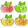 Collection Of Citrus Slices - Orange, Lemon, Lime And Grapefruit, Icons Set, Colorful Isolated On White Background, Vector Royalty Free Stock Photo