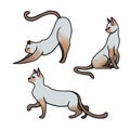 Collection of clip art cats. Set of illustrations of cats isolation on white background. Different poses and movement of cats.