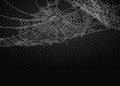 Collection of Cobweb, isolated on black, transparent background.