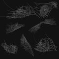 Collection of Cobweb, isolated on black, transparent background. Spiderweb for Halloween design. Spider web elements,spooky, scary Royalty Free Stock Photo