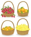 Collection.Collected a rich harvest. The basket is full of ripe juicy fruit. Fresh bananas, oranges, persimmons, cherries, a Royalty Free Stock Photo