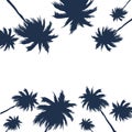 silhouette coconut palmtrees collection Royalty Free Stock Photo