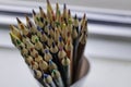 Collection of colored coloring pencils used for school art Royalty Free Stock Photo