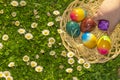 Collection of colored eggs by children.Easter Egg Hunt. Easter holiday tradition. Child collect painted Easter eggs in Royalty Free Stock Photo