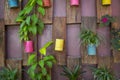 Collection colorful aluminium can pot on wooden wall