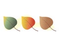 collection of colorful autumn leaves. autumn warm and bright colors illustration Royalty Free Stock Photo