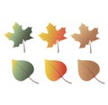 collection of colorful autumn leaves. autumn warm and bright colors illustration Royalty Free Stock Photo