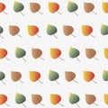 collection of colorful autumn leaves. autumn warm and bright colors illustration Royalty Free Stock Photo