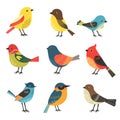 Collection colorful bird illustrations, various species, cartoon style. Birds feature bright