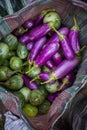 Colorful Brinjal Eggplant