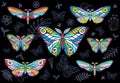 Collection of colorful butterflies on a floral background, vector set of insects, vintage style, wings, flowers, leaves. Royalty Free Stock Photo