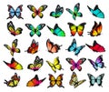 Collection of colorful butterflies, flying in different directions.