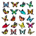 Collection of colorful butterflies, flying in different directions