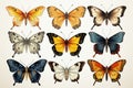 Collection of colorful butterflies isolated on white backdrop. Royalty Free Stock Photo