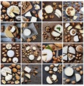 Collection of 16 colorful Camembert cheese and walnuts on wooden cutting board
