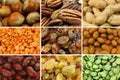Collection of colorful dried seeds and nuts Royalty Free Stock Photo